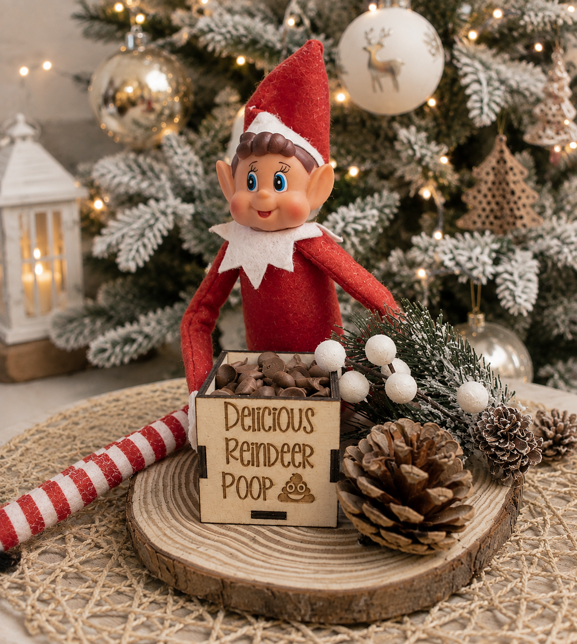Elf Prop Reindeer Poop
