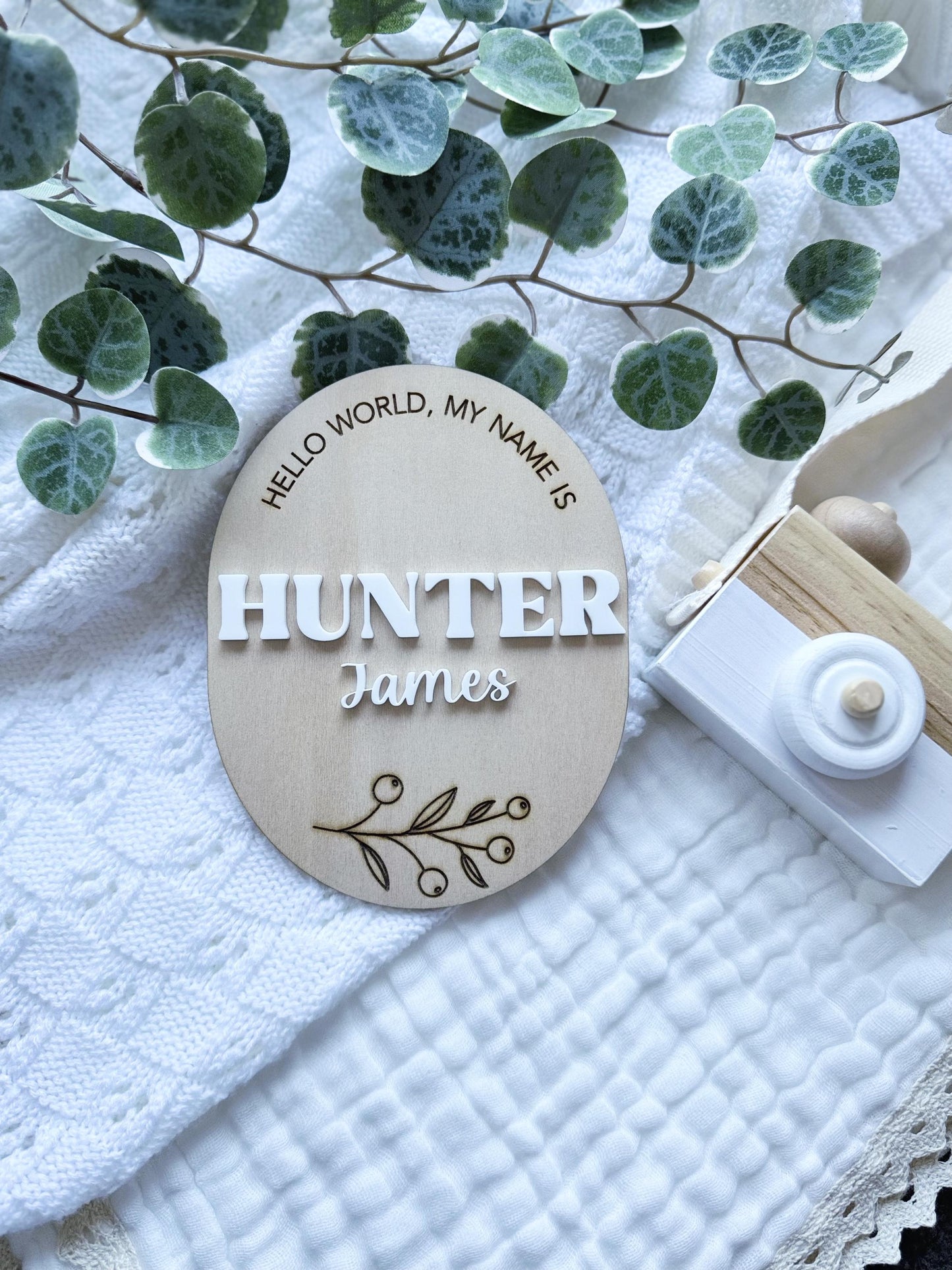 "Hello World My Name Is" Baby Birth Announcement Plaque