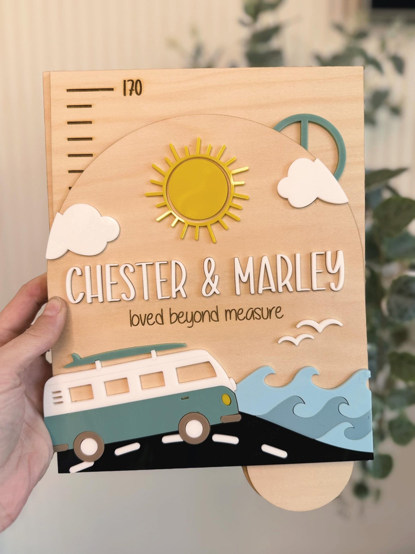 Camper Growth Chart