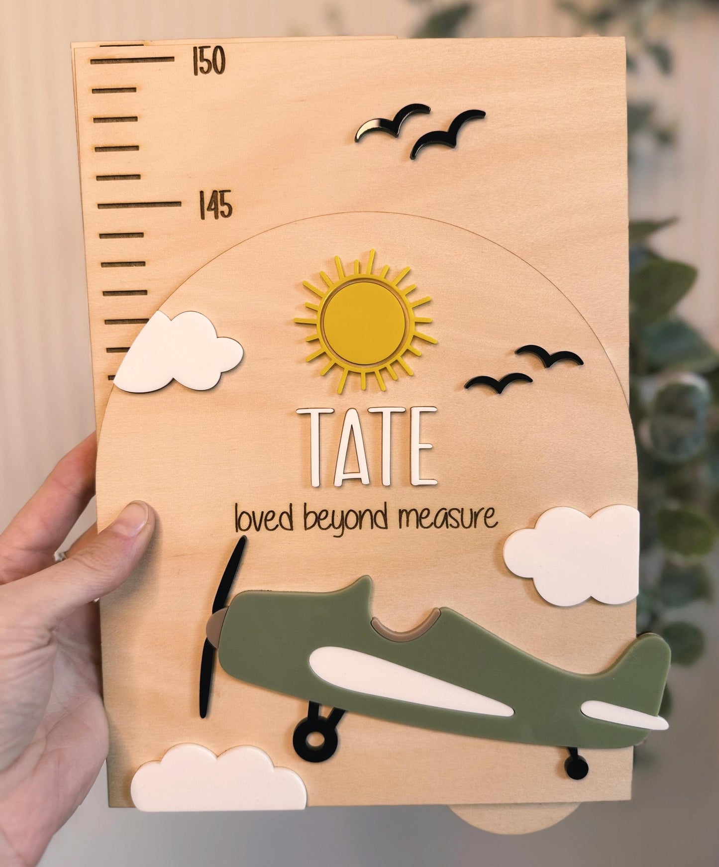 Vintage Airplane Growth Chart