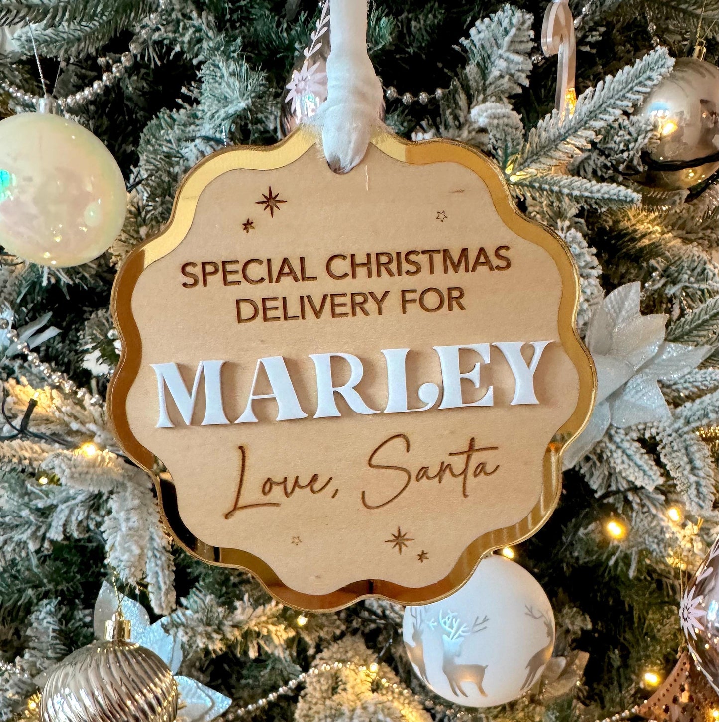 Santa Sack Delivery Tag