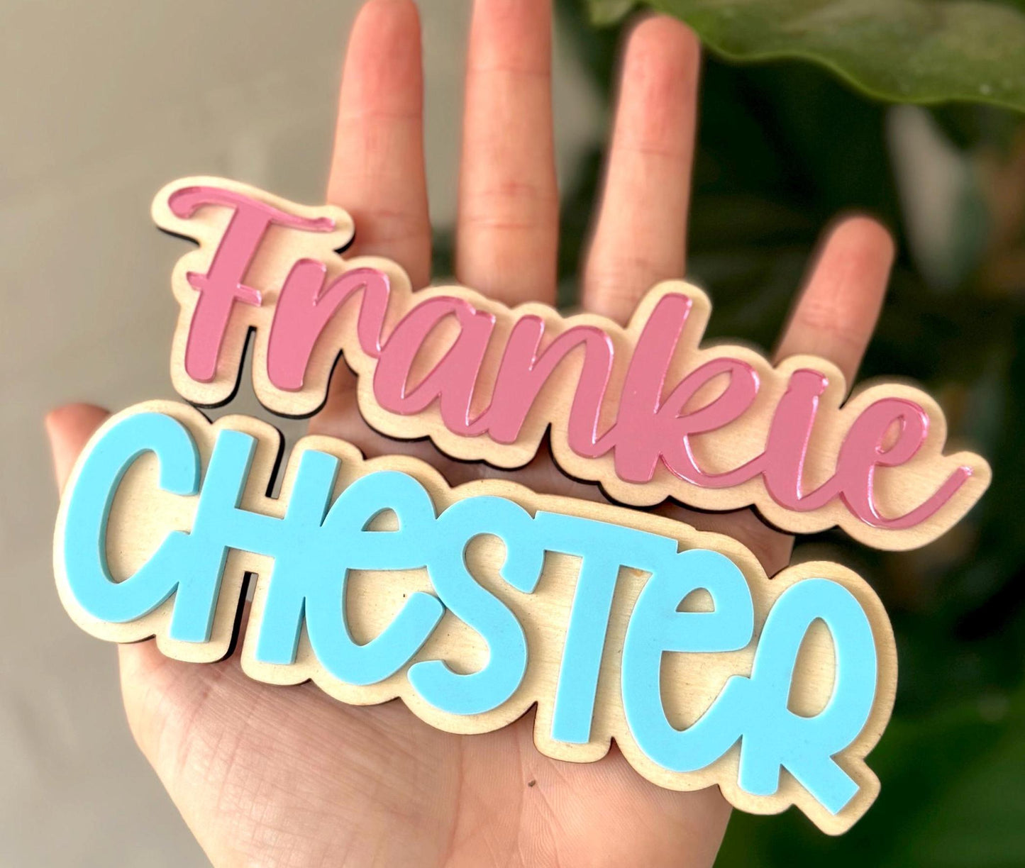 Extra Name Plaques for Back to School Board