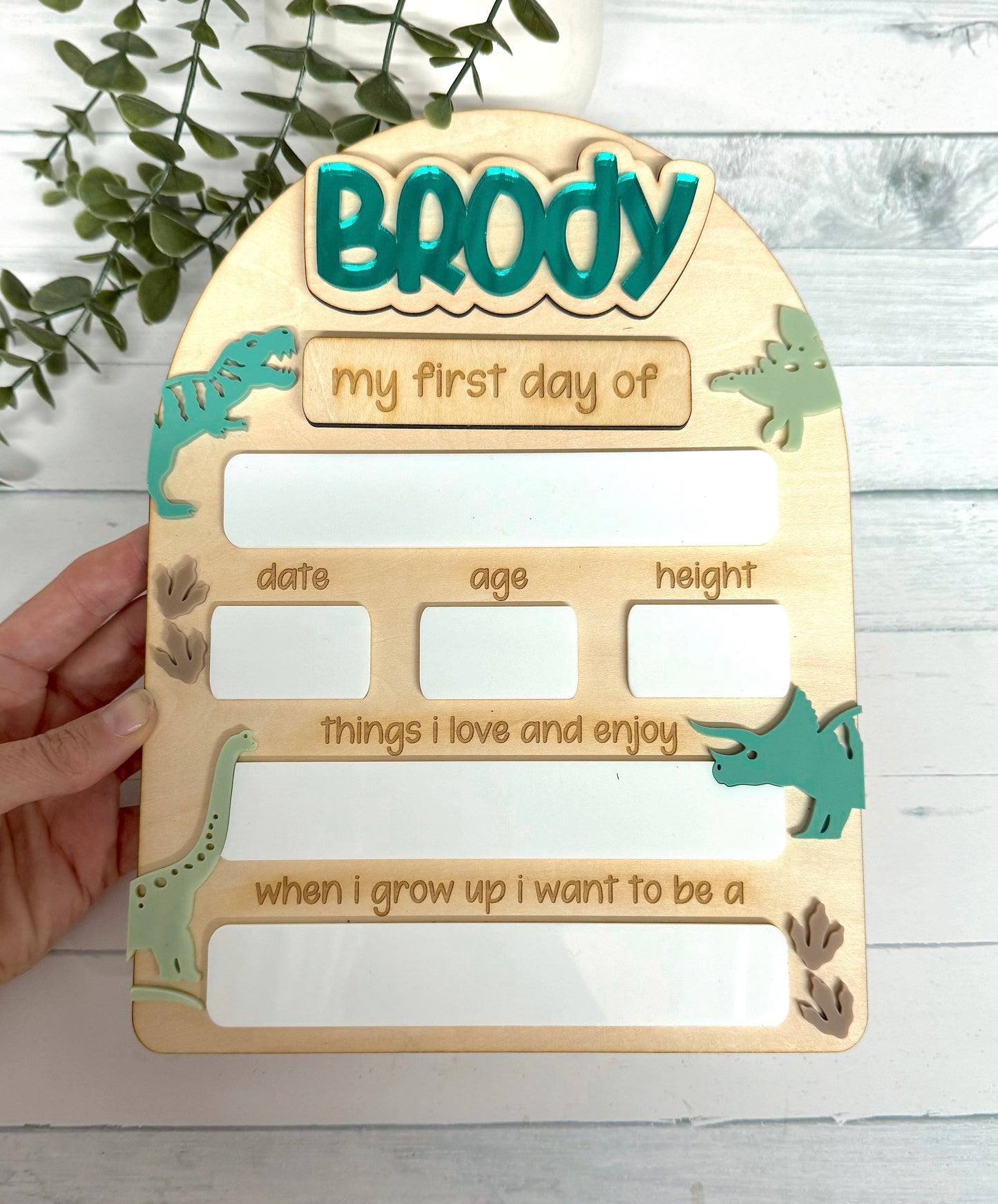 Dinosaur Back to School Board - Large