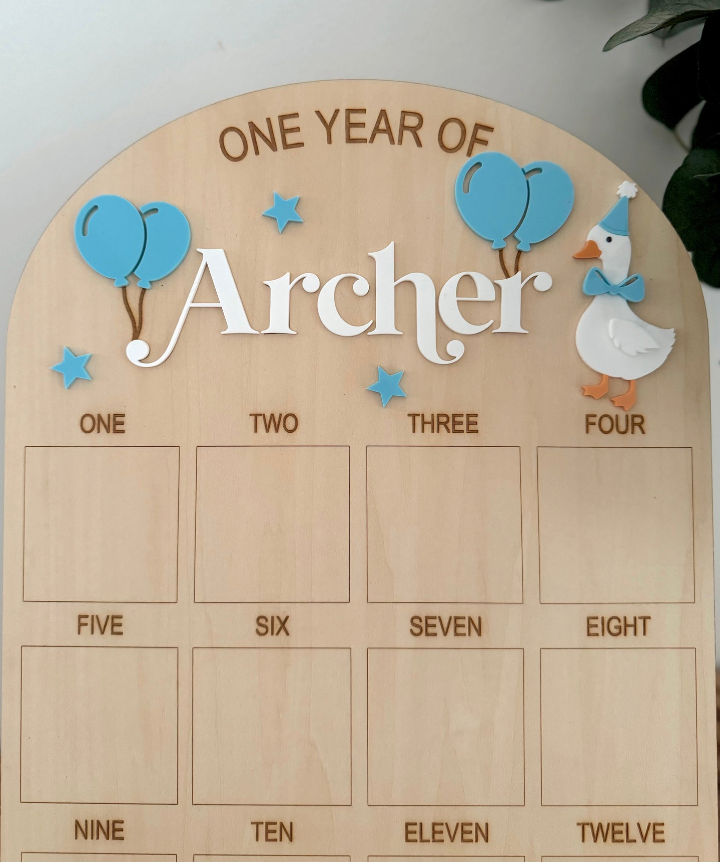 Goose First Birthday Board