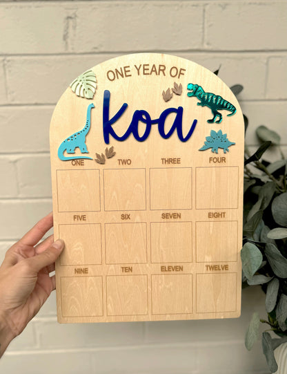 Dinosaur First Birthday Board