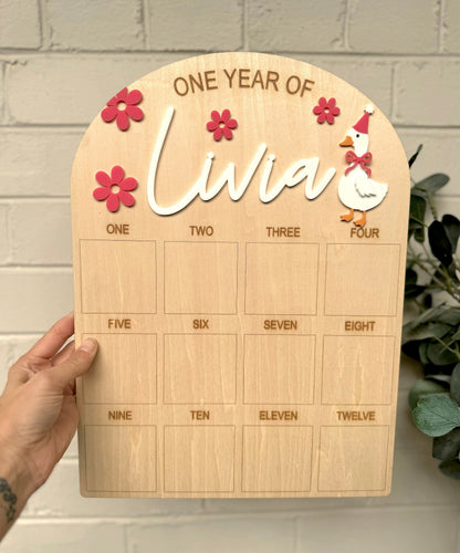 Goose First Birthday Board