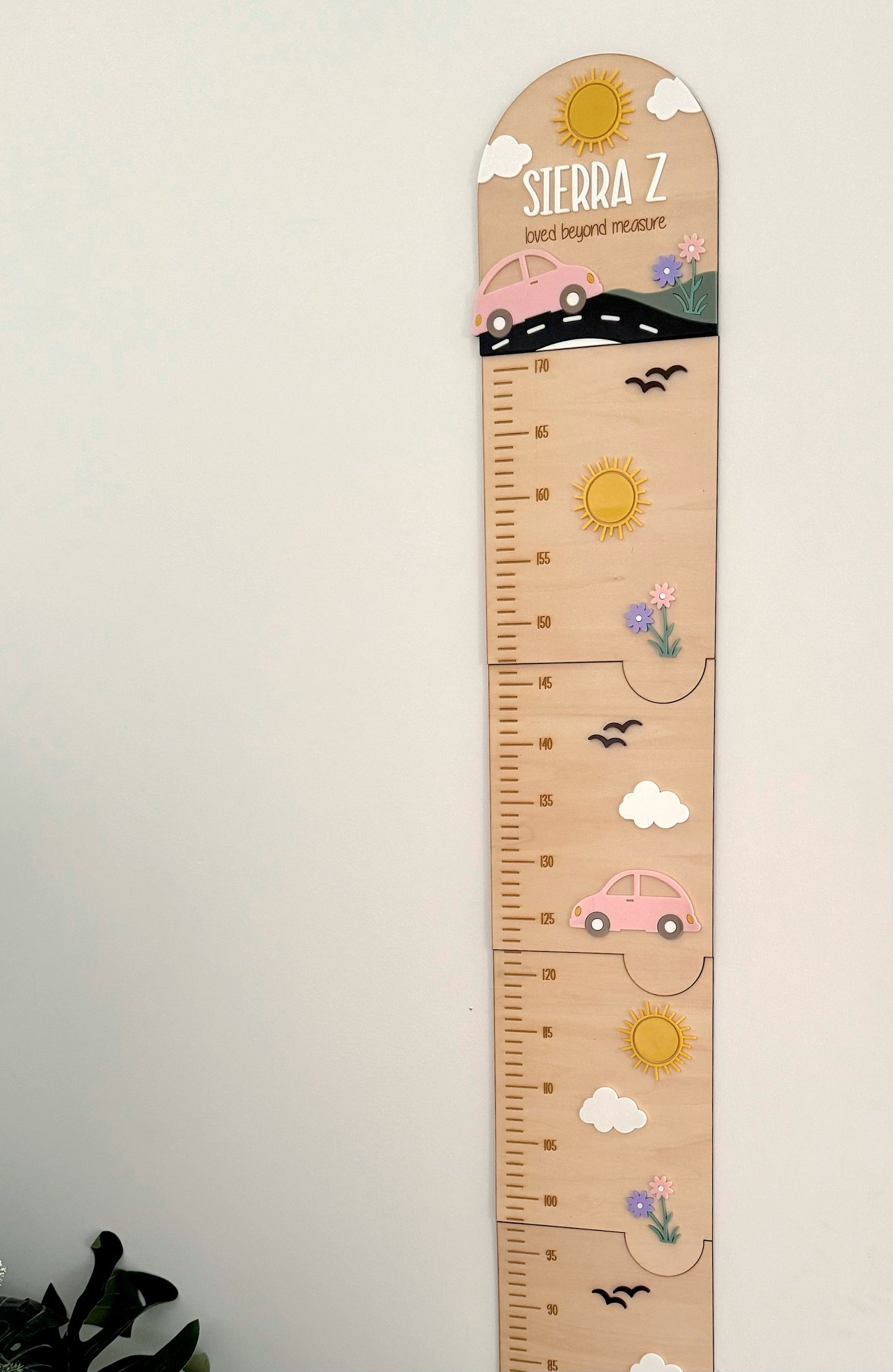 Classic Bug Car Growth Chart