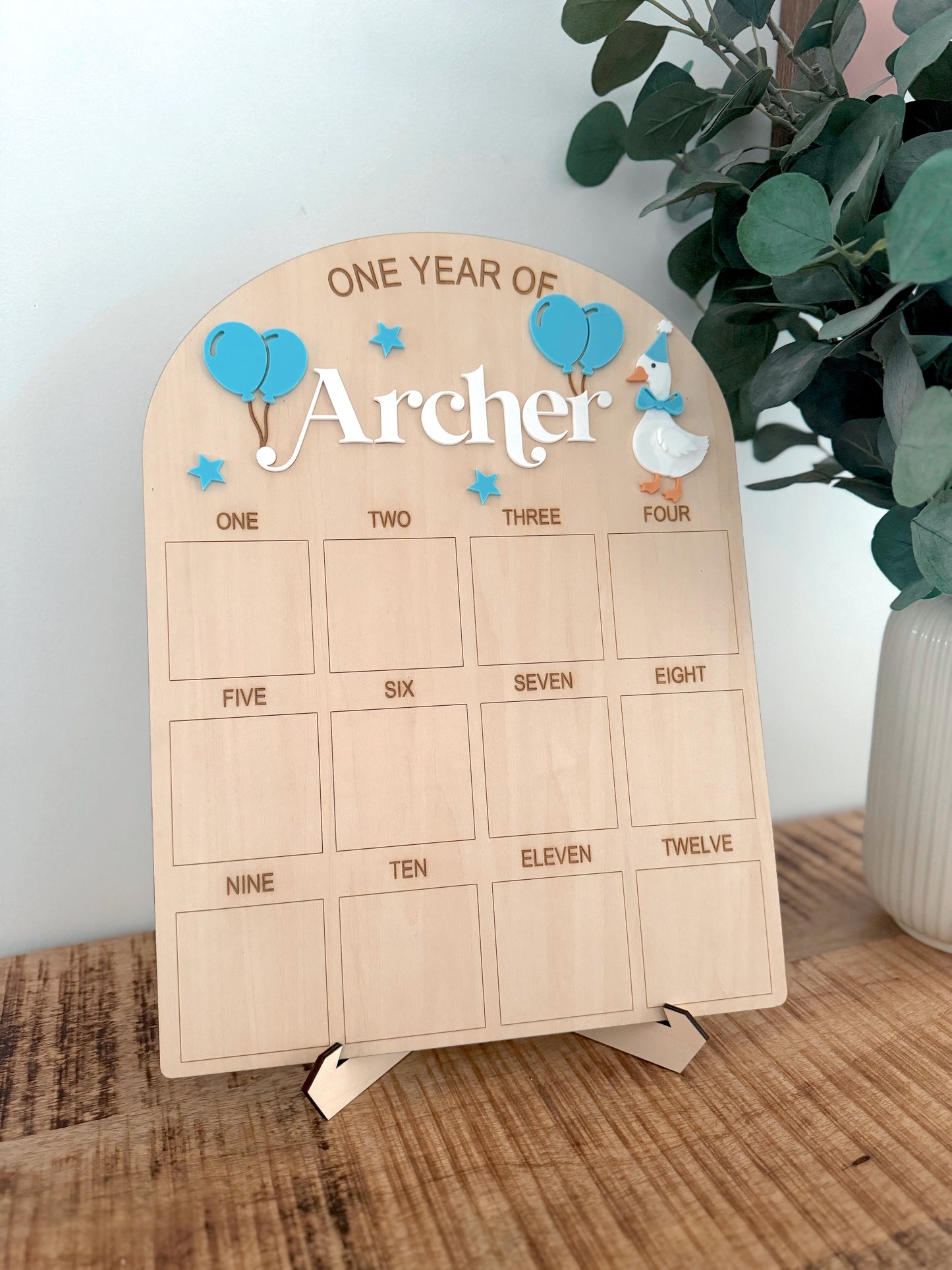 Goose First Birthday Board