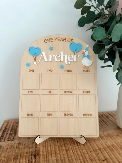 Goose First Birthday Board