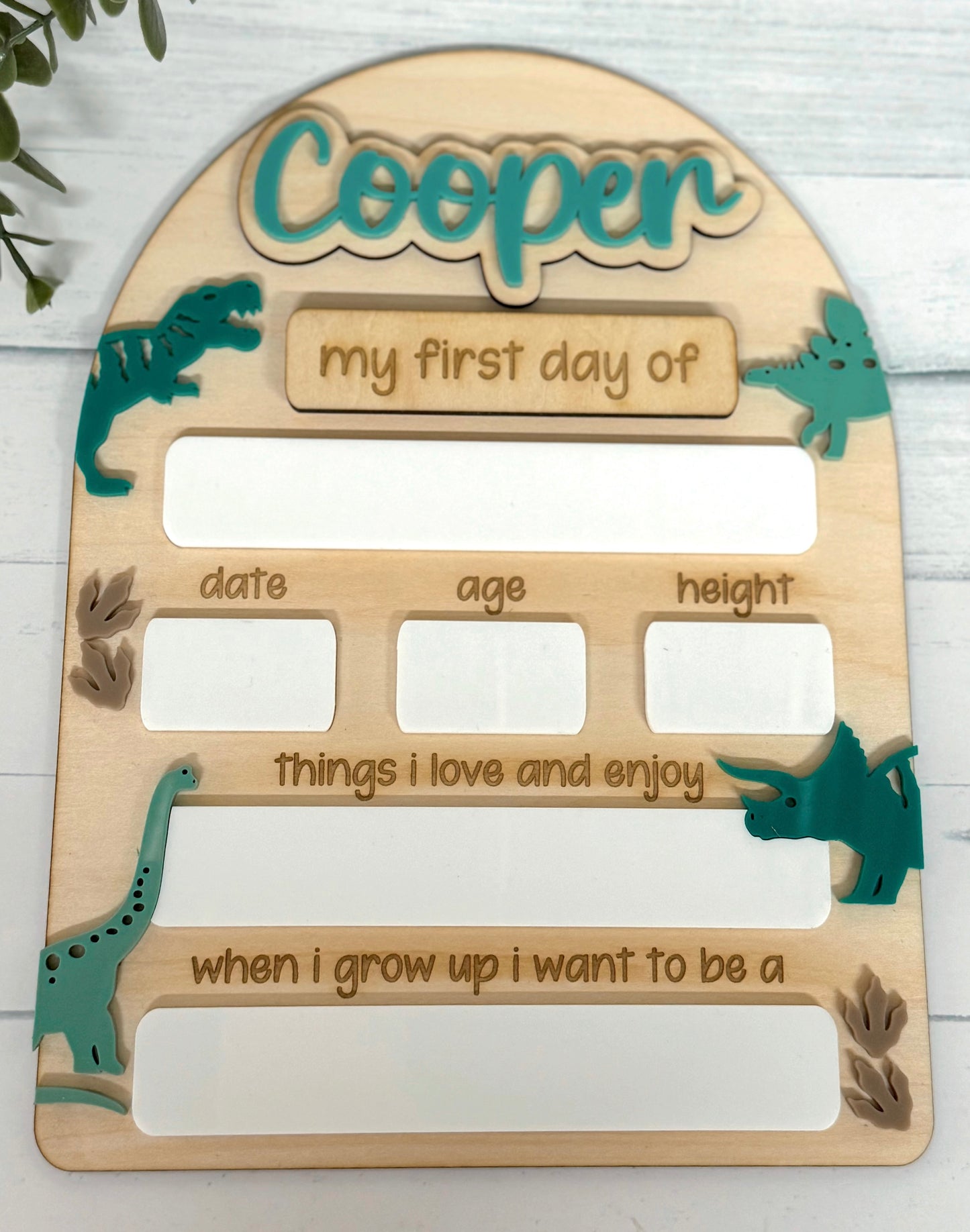 Dinosaur Back to School Board - Large
