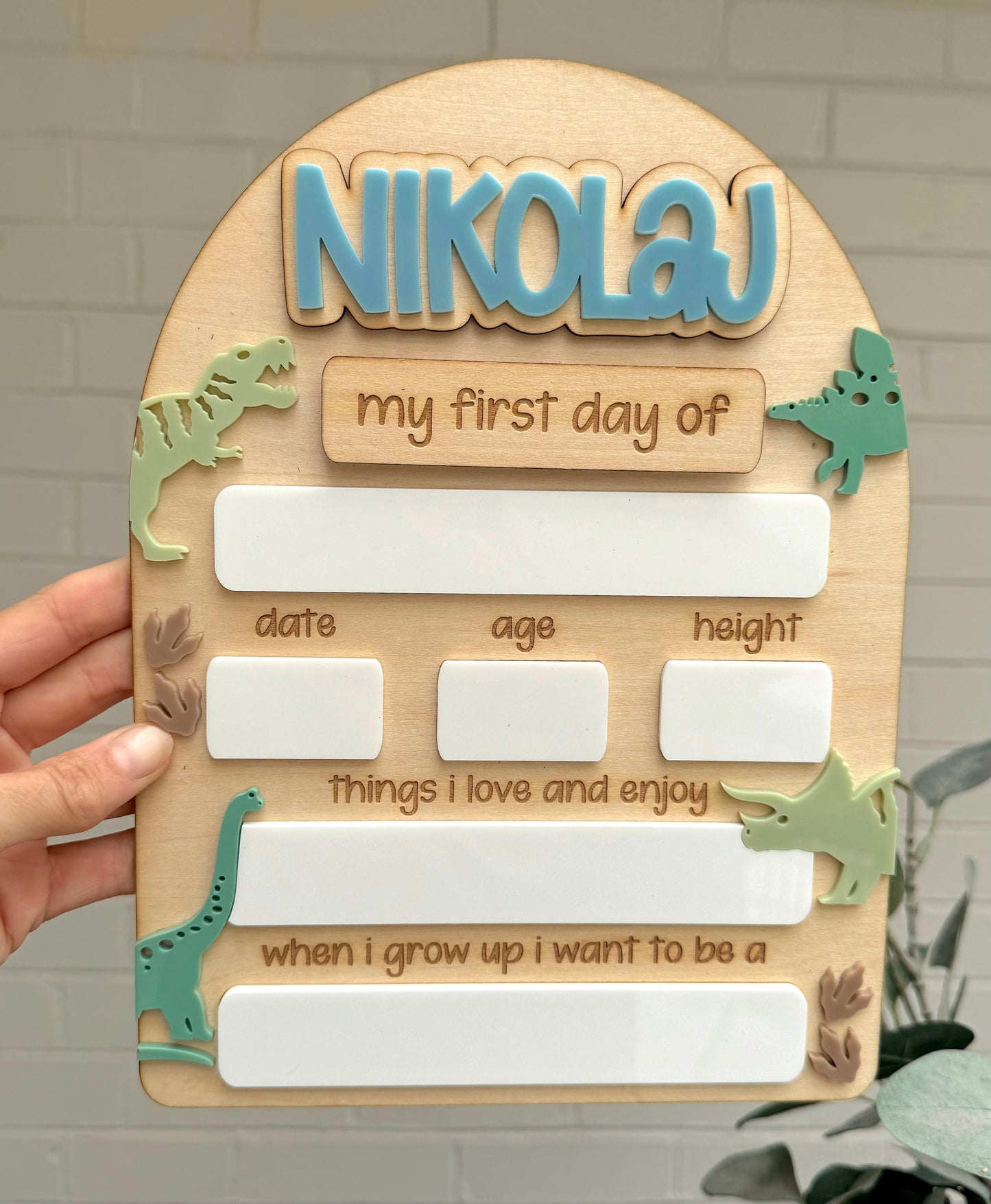 Dinosaur Back to School Board - Large