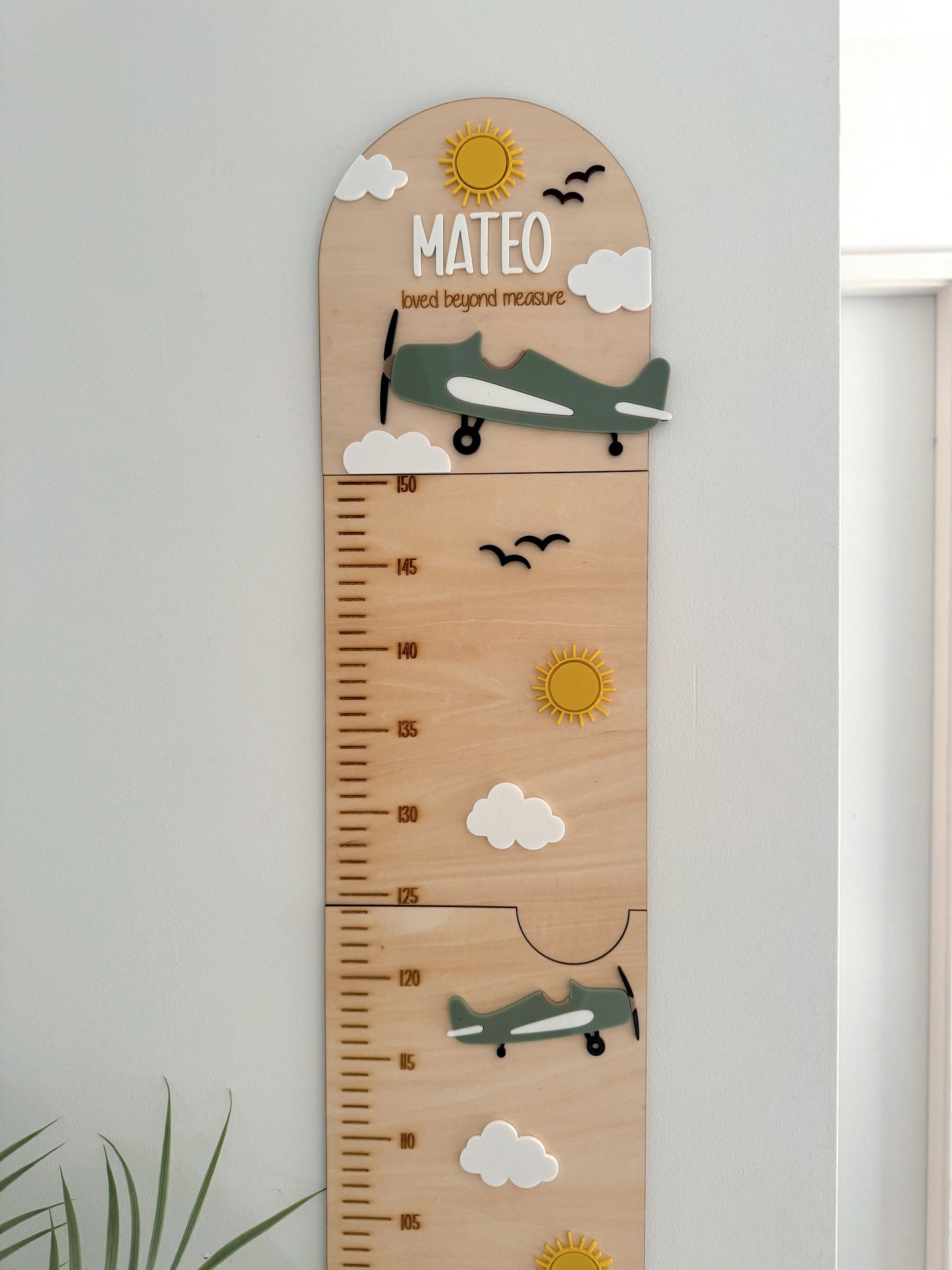 Vintage Airplane Growth Chart