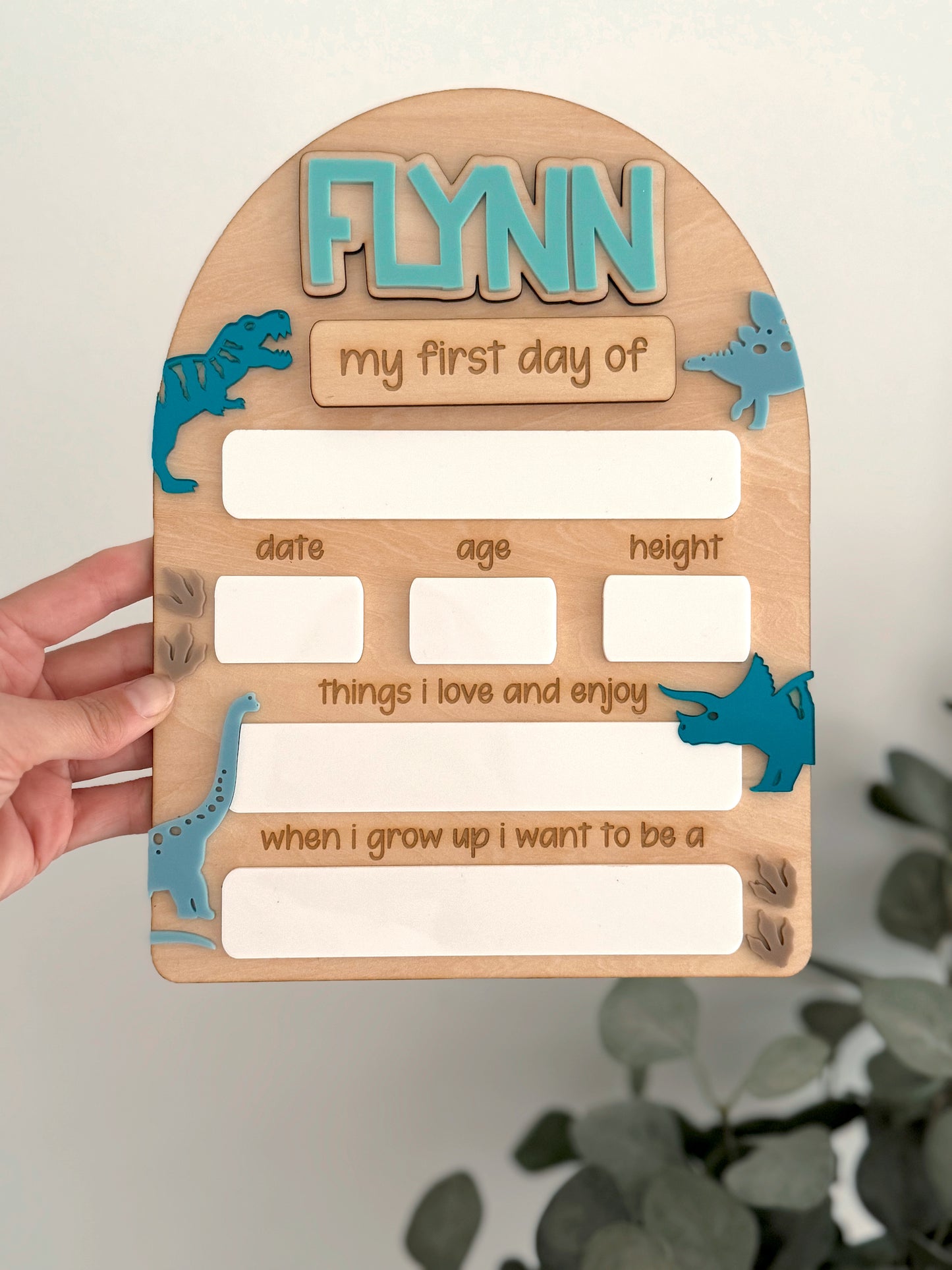 Dinosaur Back to School Board - Large