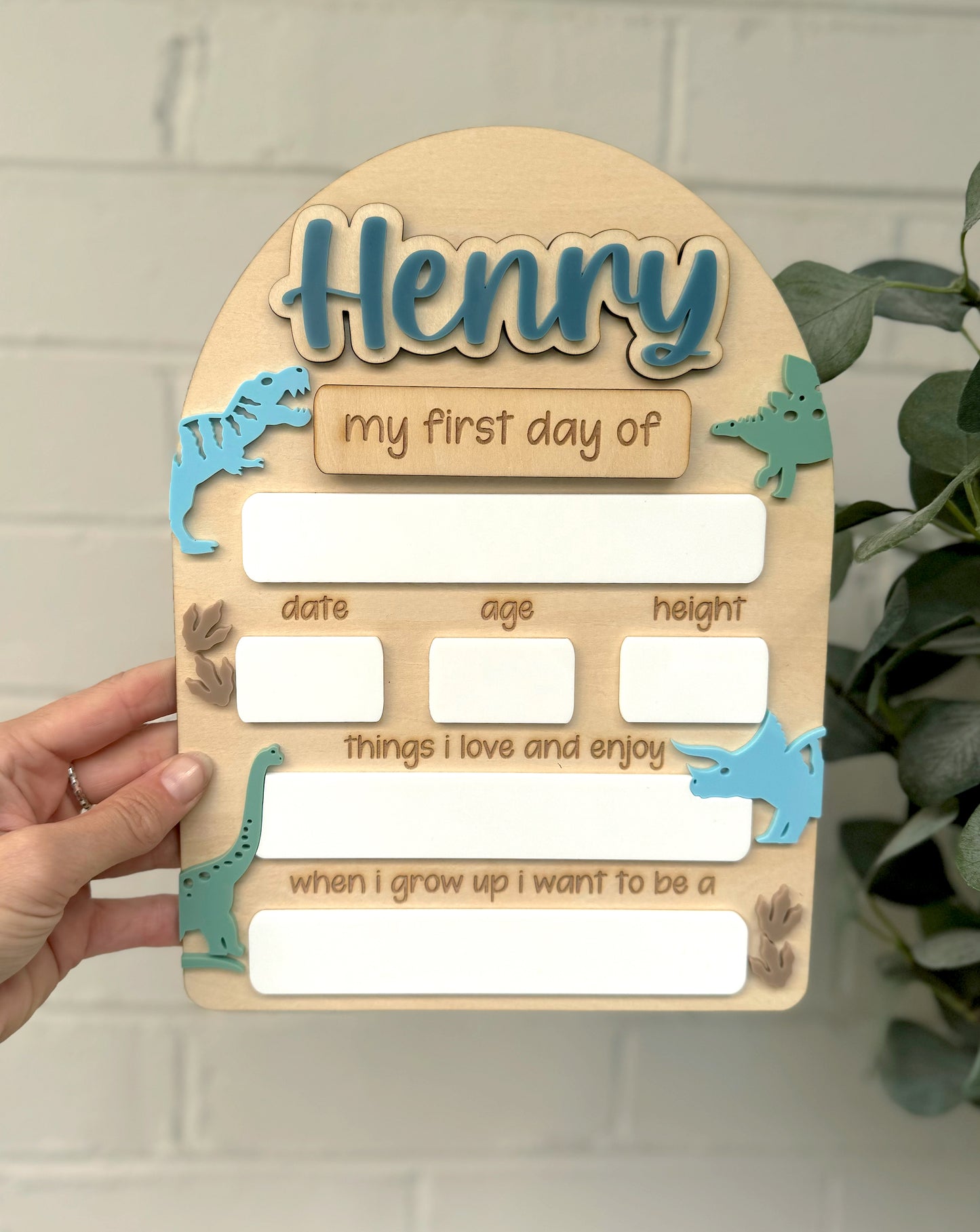 Dinosaur Back to School Board - Large
