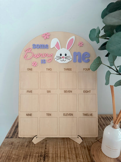 Some Bunny Birthday Board