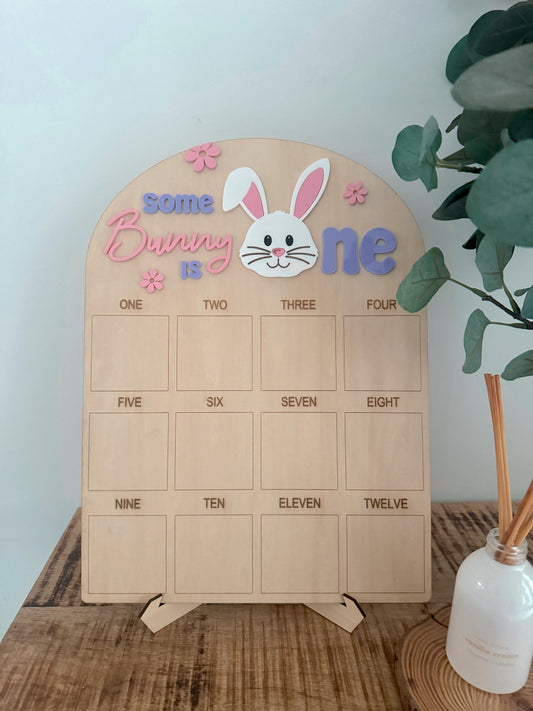 Some Bunny Birthday Board