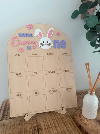 Some Bunny Birthday Board