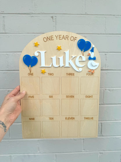 Goose First Birthday Board