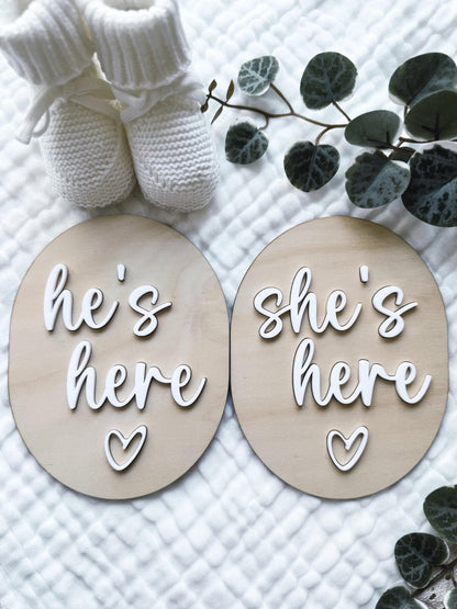 Pregnancy Announcement Duo Plaque's