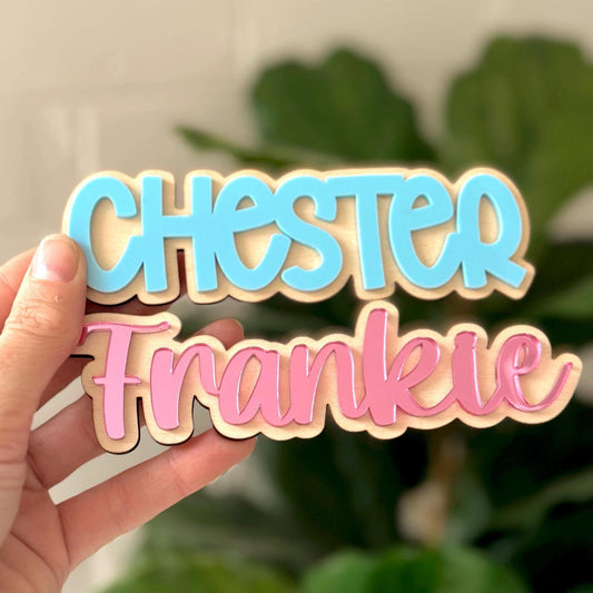 Extra Name Plaques for Back to School Board