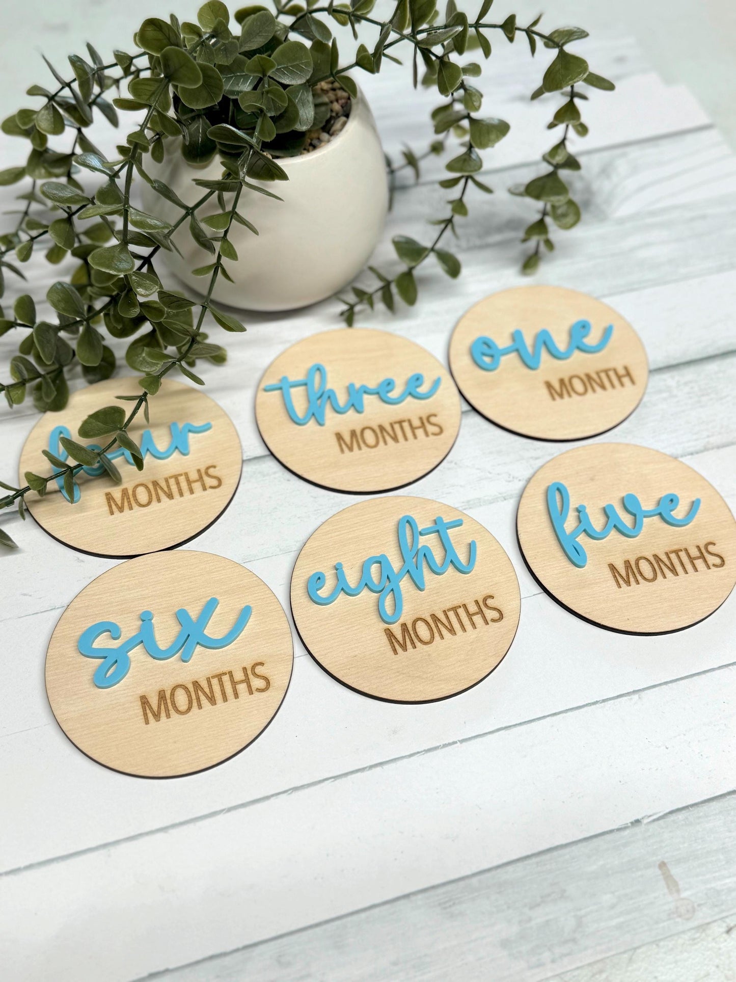 Baby Milestone Disc Set