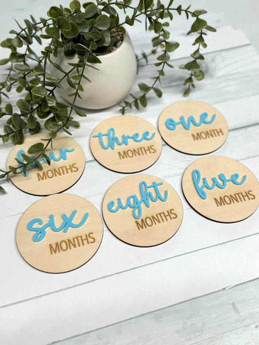 Baby Milestone Disc Set