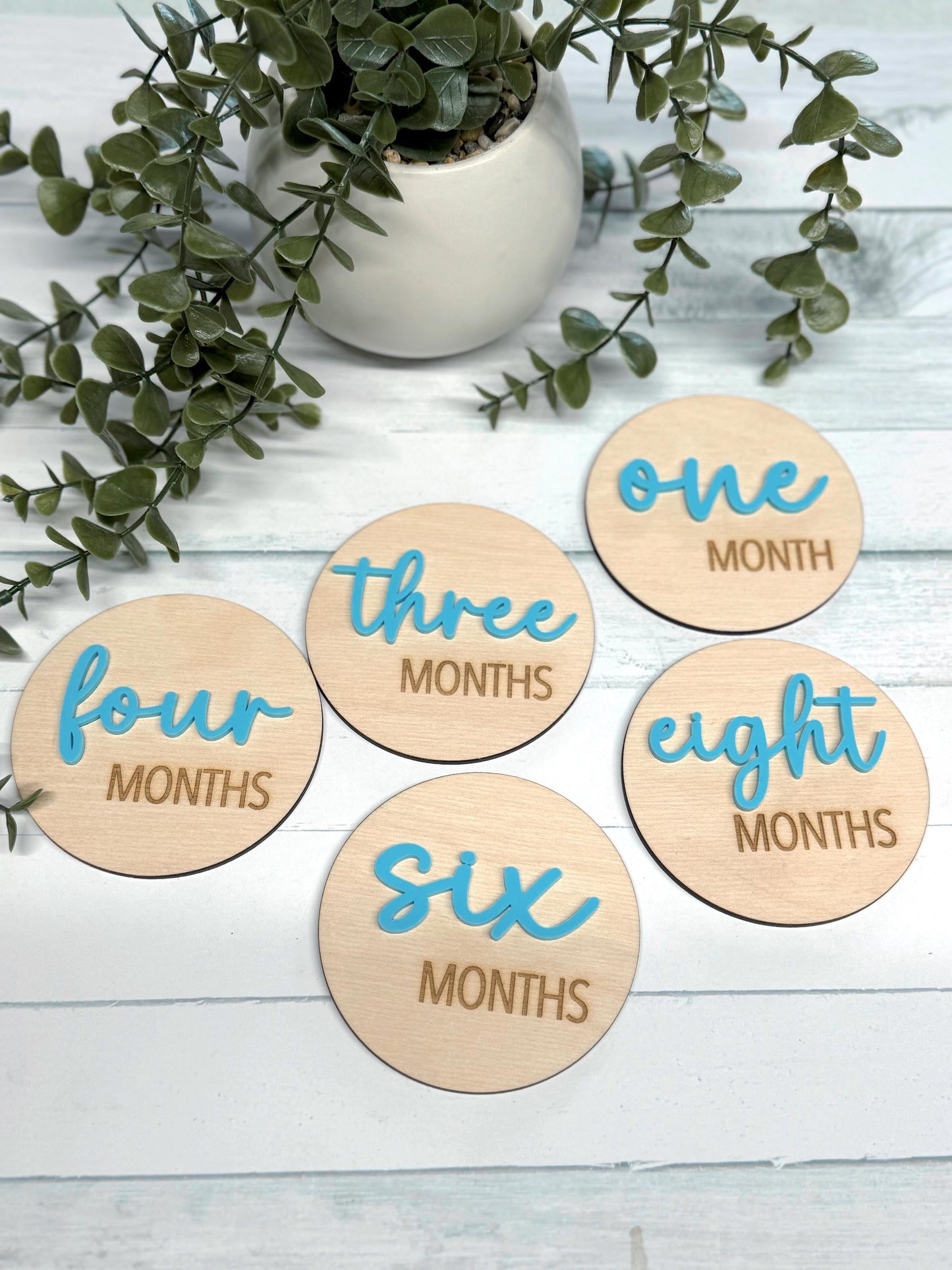 Baby Milestone Disc Set