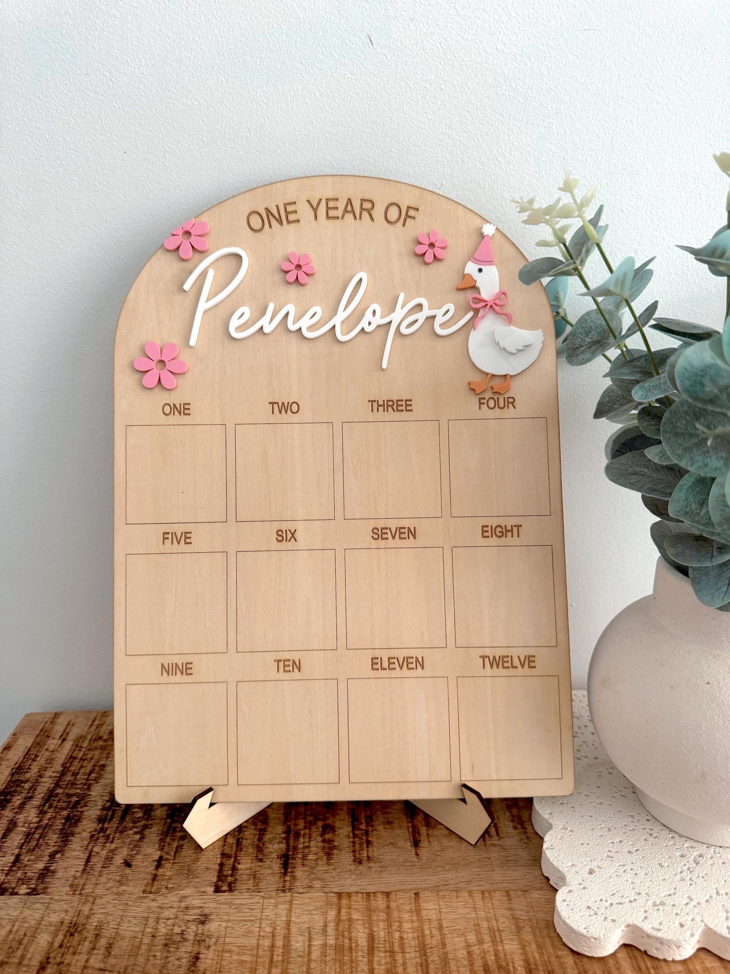 Goose First Birthday Board