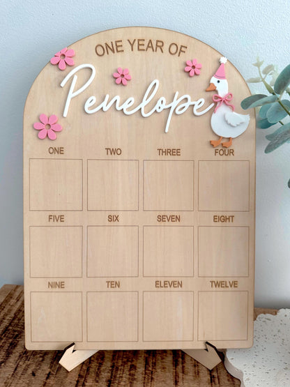 Goose First Birthday Board