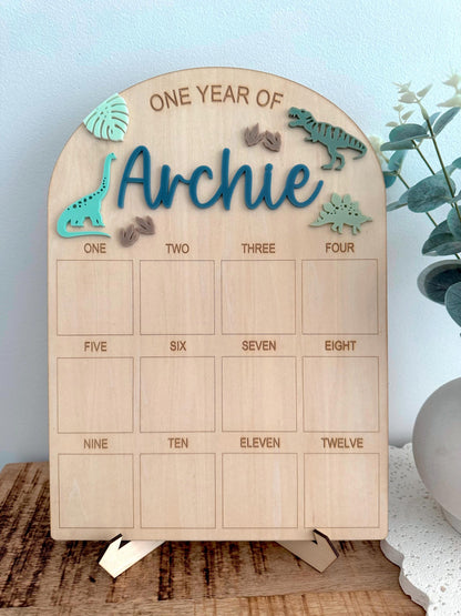 Dinosaur First Birthday Board