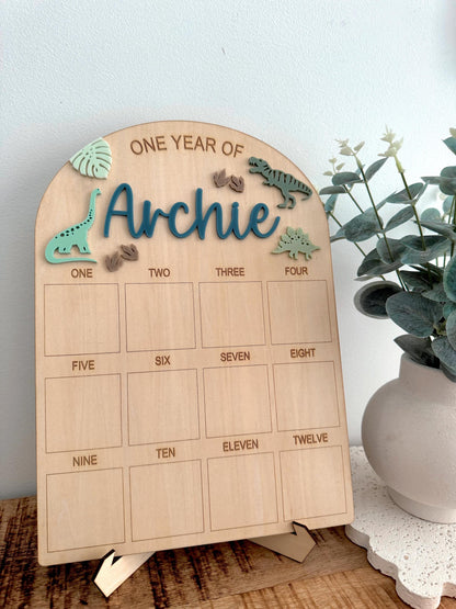 Dinosaur First Birthday Board