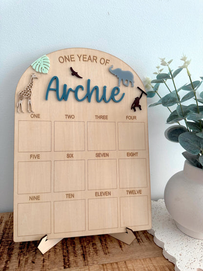 Wild One First Birthday Board