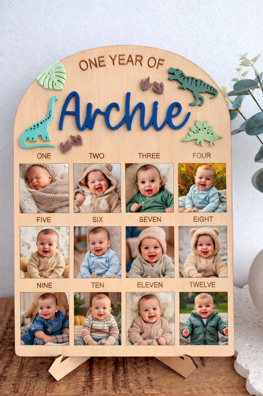 Dinosaur First Birthday Board