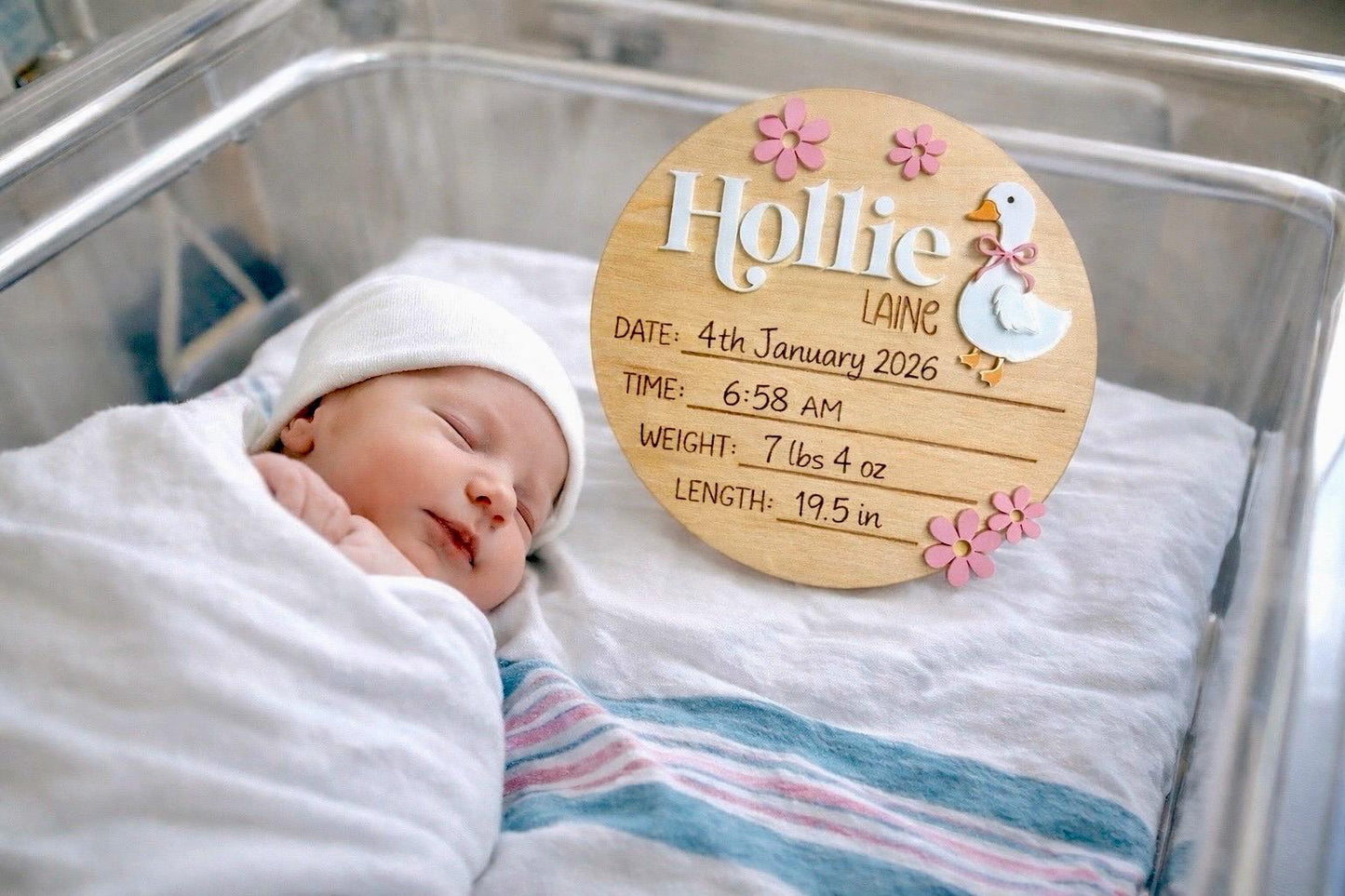 Baby Birth Announcement Plaque - Goose