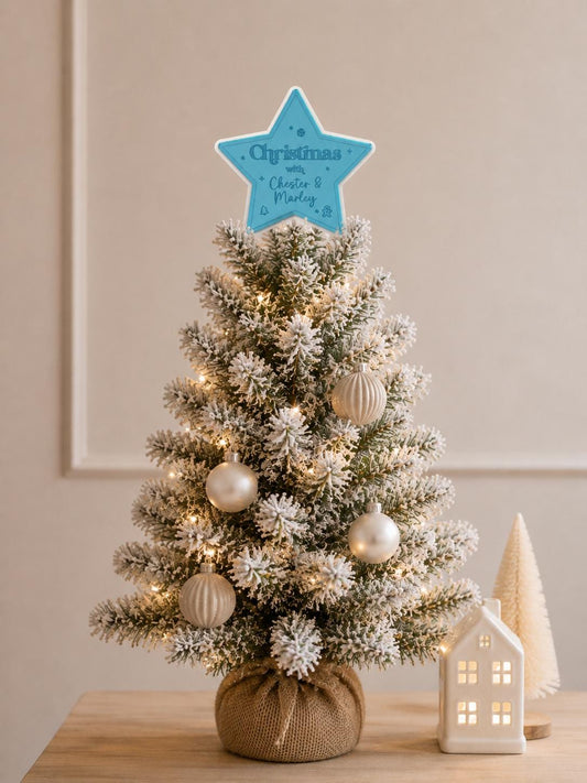 Mini Christmas Tree Star Topper