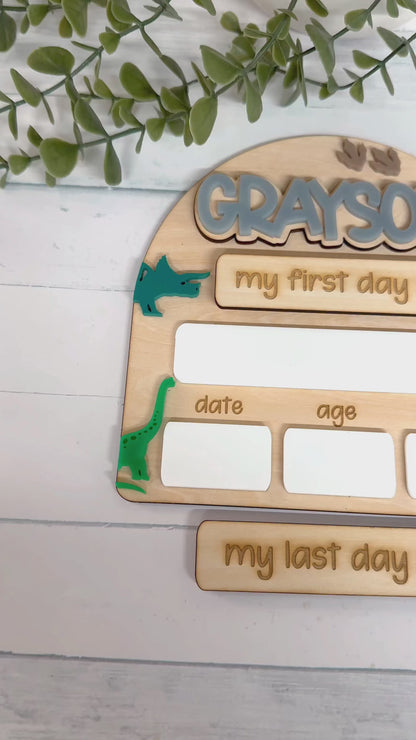 Dinosaur Back to School - Medium